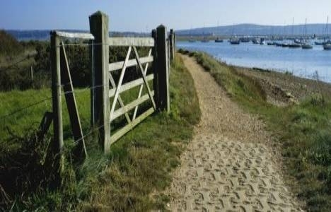 Cins tashihi harcı 2015!