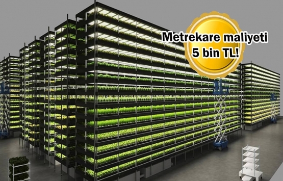 Devrimin yeni adı: Dikey tarım üniteleri!