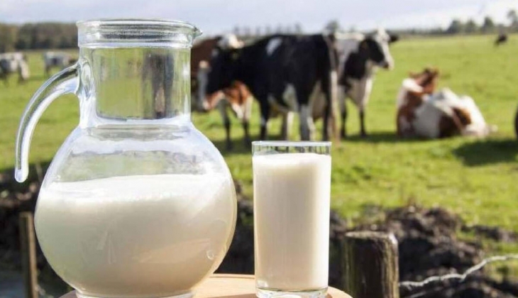 Süt fiyatı önce üreticiyi sonra vatandaşı vurdu! Fiyatların önüne geçilemiyor