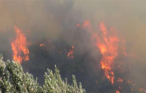 Isparta'da milli parkta orman yangını çıktı!