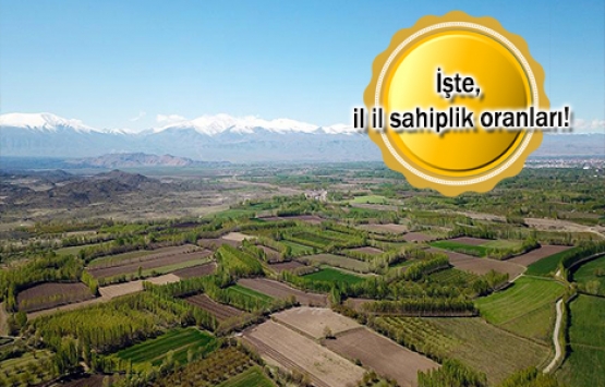 Türkiye'nin yüzde 63'ünü erkekler, yüzde 37'sini kadınlar parselledi!