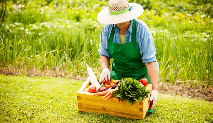 Çiftçiler hemen hesaplarınıza bakın! Temmuz 2023 ödemeleri hesaplara peş peşe yatırıldı! Bu paraları mutlaka alın!
