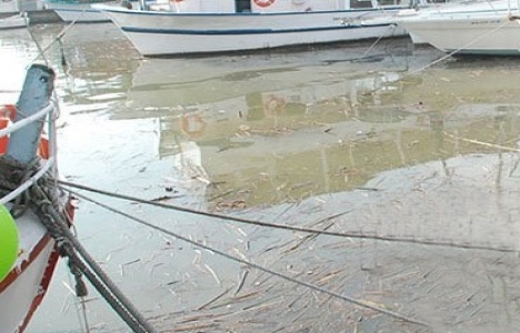 Deniz Süpürgesi durdu, Körfez çöple doldu!