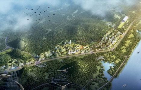 Çin'de 40 bin ağaçlık Orman Kent inşa edilecek!