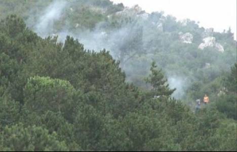 Kartal’da orman yangını çıktı!