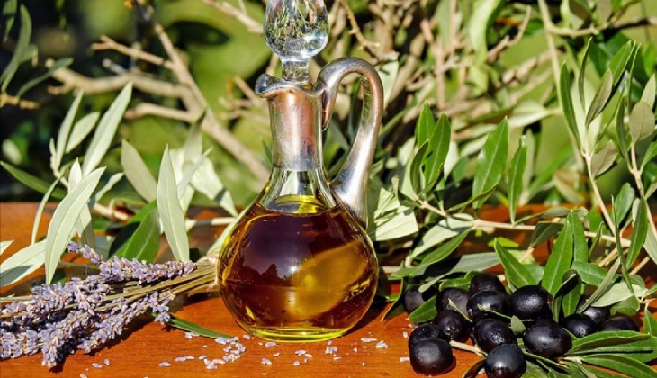 Zeytin üretiminde korkutan gelişme! 1 litre zeytinyağı 350 TL ye, zeytin kg 400 TL ye çıkabilir!