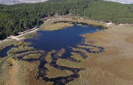 Denizli'de 8.7 milyon TL'ye satılık arsa!