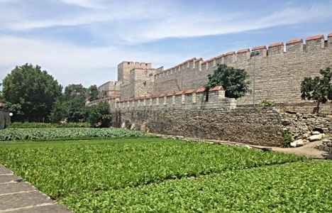 Yedikule Bostanları ile ilgili planlar reddedildi!