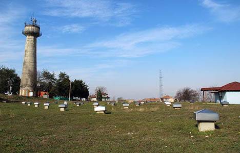 Sakarya'daki Maltepe tesisleri halka açılıyor!