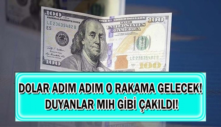 Dolar adım adım o rakama gelecek! Doların Efendisi Selçuk Geçer açıkladı, duyanlar mıh gibi çakıldı! Hemen göz atın!