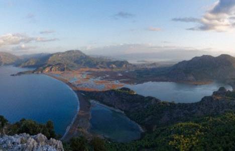 İztuzun da yapılacak caretta caretta hastanesine karşı tam 17 bin imza toplandı!