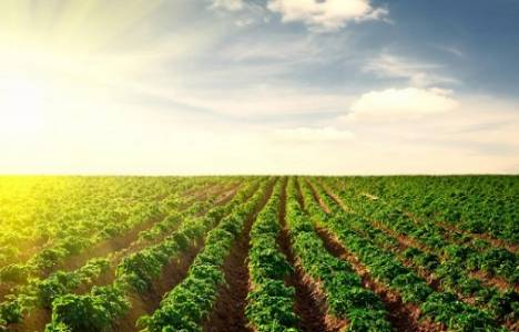 Asgari tarımsal arazi büyüklüğü!