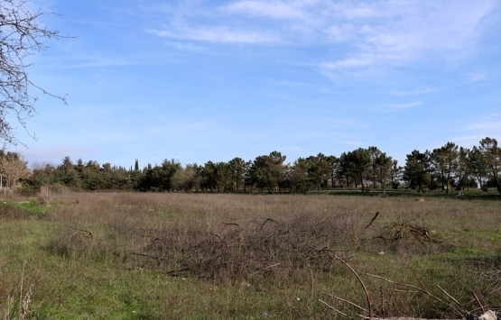 Gebze Millet Bahçesi nin temeli 2021 de atılacak!