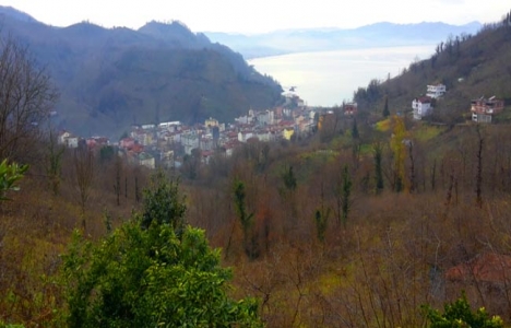 Ordu Bolaman ve Yalıköy'ün imar planı yenilenecek!