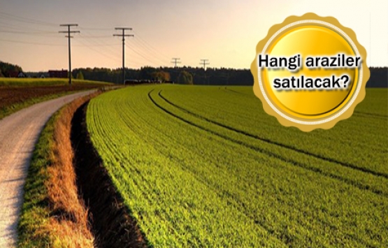 Hazine arazilerinin satışı ve kiralanmasında son hamle!