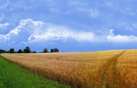 Yeni toprak kanunu neler getiriyor?