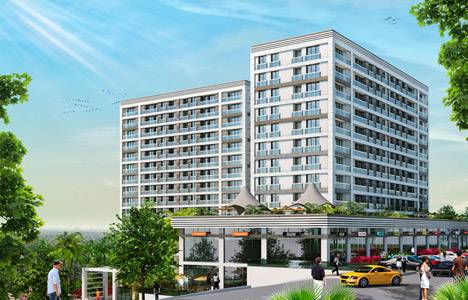 Sun Flamingo Güneşli görselleri!