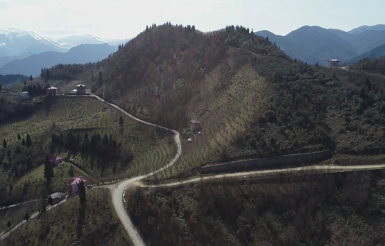 Trabzon'da 600 dönümlük proje yatırımcıları bekliyor!