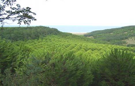 Kayseri'de 4 bin metrekarelik askeri arazi yeşil alan olacak!