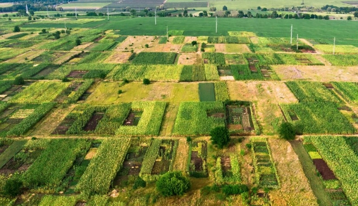 Gaziantep te 205 milyon TL ye arsa satılıyor! 