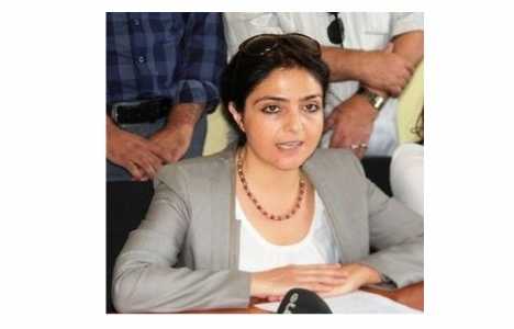 Van Halilağa'daki parkın yapım çalışmaları neden durduruldu?