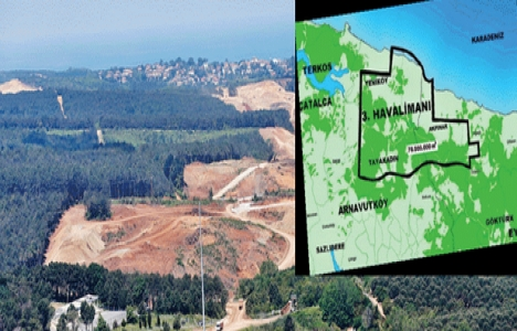 Bataklığa değil ormana!