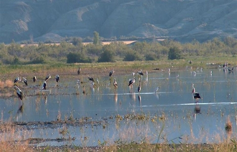 Ankara'ya Çayırhan-B Termik Santrali projesi geliyor!