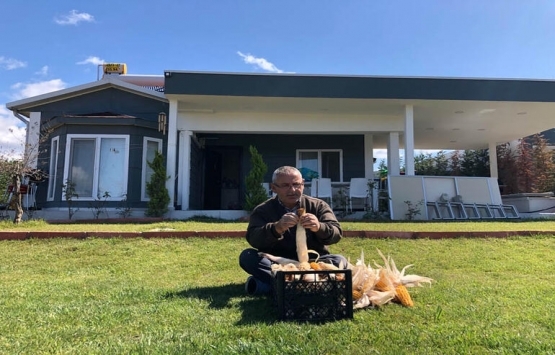 Bursa Göktepe de araziler iki kat değerlendi!