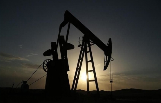 Brent petrolün varili 45,05 dolar!