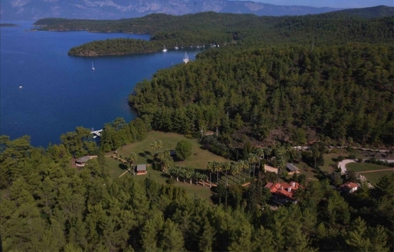 Cumhurbaşkanlığı sarayları ne kadara mal olacak?