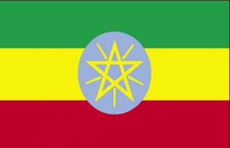 Etiyopyalılar Türkiye'den ev alabilir mi?