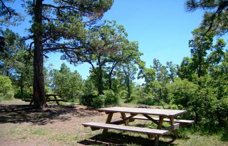 Soğuksu Milli Parkı inşaat yapım işi ihalesi!