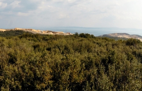 Edirne Saros Körfezi için firmalara işletme ruhsatı veriliyor!