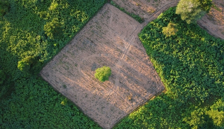 Milli Emlak tan bu arsa telefondan ucuz! 4 bin TL niz varsa sizin olabilir!