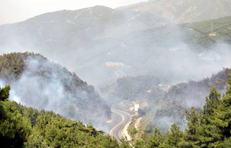Manisa'da Ramazan Bayramı tatili boyunca 12 ayrı noktada yangın çıktı!