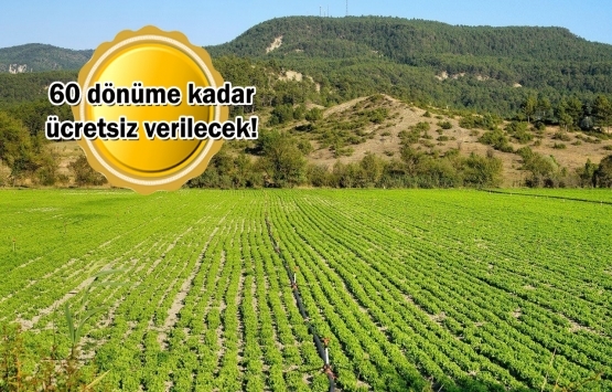 Hazine arazisinde çiftçilik için 6 pilot il!