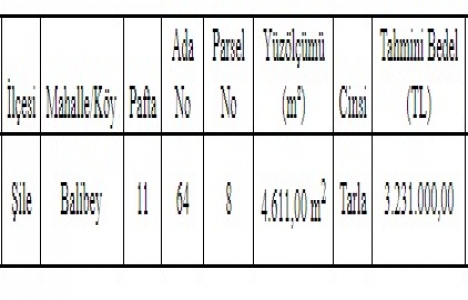 Şile de 3.2 milyon TL ye satılık tarla!