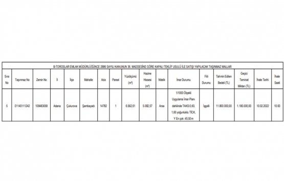 Adana da 35 milyon TL ye satılık 5 gayrimenkul!