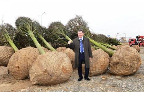 Ankara Anka Park ulaşım bilgileri!
