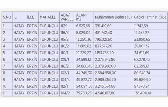 Hatay Erzin OSB de 21.3 milyon TL ye satılık arsa! 