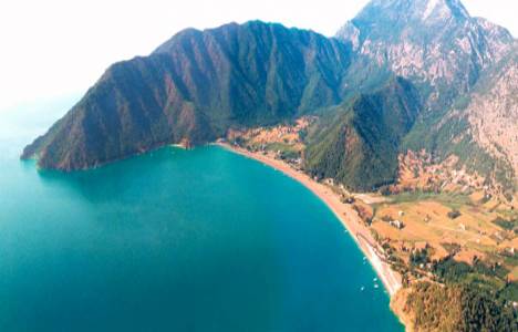 Adrasan'da ağaçlandırma çalışmaları başladı!