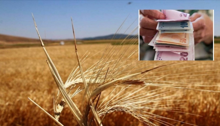 Bakanlık duyurdu! Çiftçilere 406,6 milyon liralık tarımsal destekleme ödemesi yapıldı...