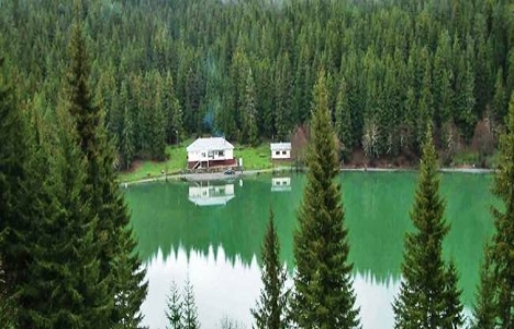 81 ilde 527 adet doğa turizm alanı belirlendi!