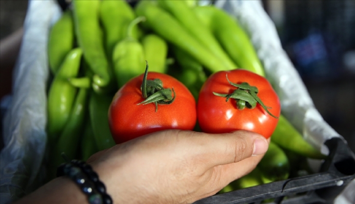Tarım, gıda ve içecek sektörü yılın ilk çeyreğinde 12,23 milyar dolarlık ihracat gerçekleştirdi