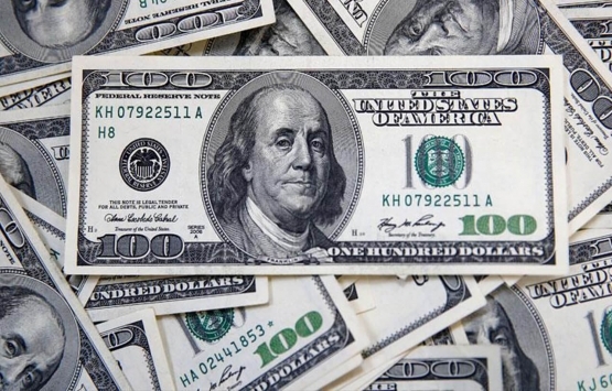 Dolar güne kaç TL'den başladı?