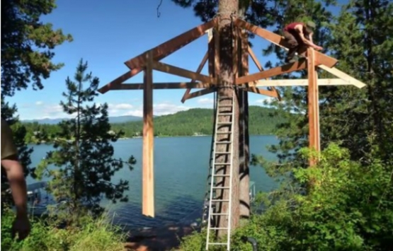 ABD'deki ağaç ev görenleri hayran bırakıyor!