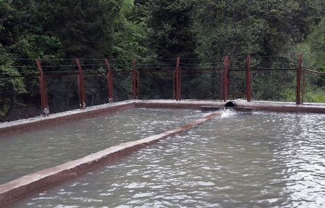 Trabzon'da içme suyu tesisi arıtma tesisi inşaatı başladı!