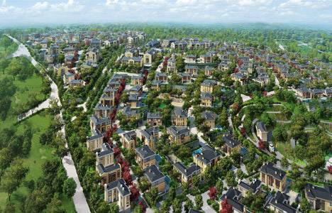 Ormanada Zekeriyaköy resimleri!