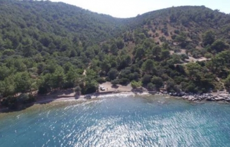 Mesa Bodrum projesinin detayları belli oldu!