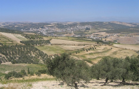 Altınözü Enek OSB'de arsa satışları başladı!